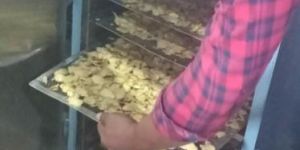 Ginger Dryer Machine