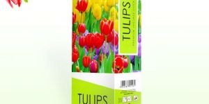 Indians Tulips Premium Incense Sticks
