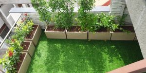 Terrace Gardening Service