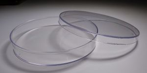 LEVRAM Petri Dishes