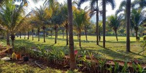 Landscape Irrigation Designing