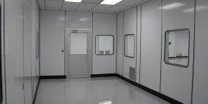 Cleanroom BMS Management Services