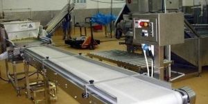 Food Handling Conveyors
