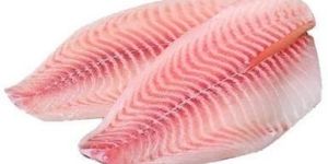 FROZEN TILAPIA FISH FILLET