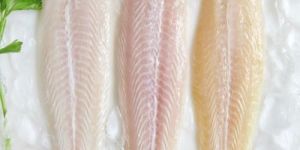 Frozen Vietnamese Basa Fish Fillet