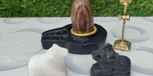 Janeu Dhari Narmadeshwar Shivling