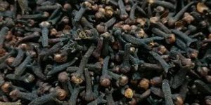 Dry Cloves