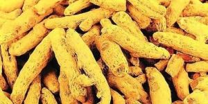 Salem Turmeric Finger