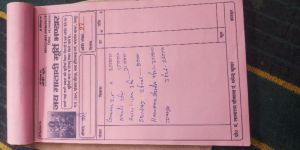 Marble Ganga Mata Statue