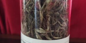 Silver Needle White Tea