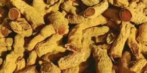 Double Polished Turmeric