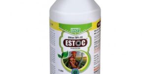 Ethion 50% EC Estoc Insecticide