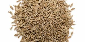 Cumin Seeds