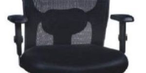 TXN Eco Deluxe Executive Office Chair