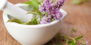 Wellness Herbs Exporter Saudi Arabia