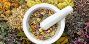 Wellness Herbs Supplier Kazakhstan