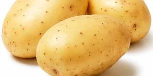 Fresh Potato