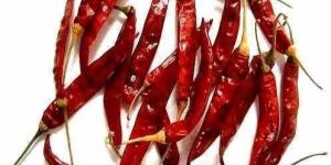 Stemmed Dried Red Chilli