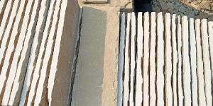 Tandur Yellow Buchinng