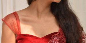 Velvet Fan Strap Blouse