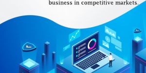 Software Development Service