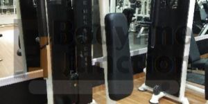 Pec Dec Fly with Rear Delt