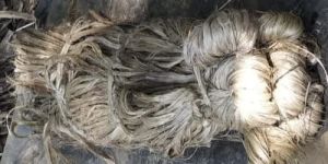 Raw Jute Fiber