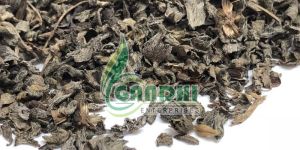 Dried Bhringraj Leaves