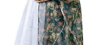 Organza Dupatta