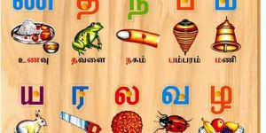 Tamil Alphabet Picture Tray