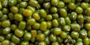 Green Moong Beans
