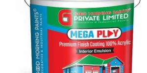 Mega Play Premium Finish Acrylic Emulsion Paint