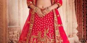 Zardozi & Zari Lehenga Choli