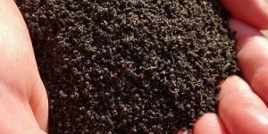 Agricultural Vermicompost Fertilizer
