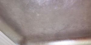 Platinum Leafing Service