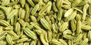 Fennel Seeds