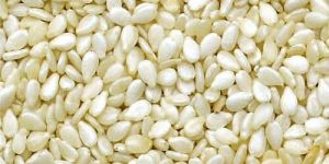 White Sesame Seeds