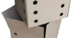 Fruits and Vegetables Corrugated Box