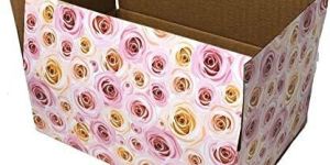 Multicolour Printed Box