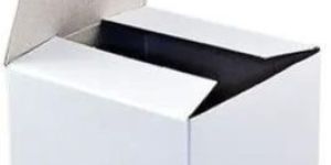White Corrugated Box
