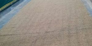 Cricket Coir Mat Brown