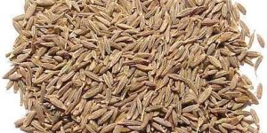 Cumin Seeds
