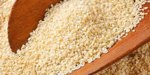 Sesame Seeds