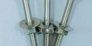 Galvanized Iron Bolts