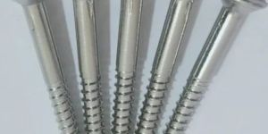 Galvanized Iron Screws