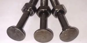 Steel Carriage Bolts