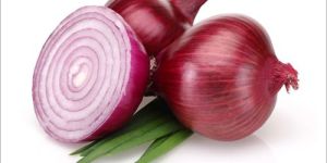Fresh Red Onion