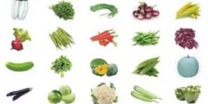 Home Gardening Vegetable Kits