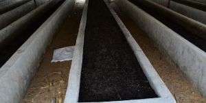 Vermicompost