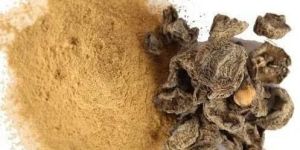 Dried Amla Powder